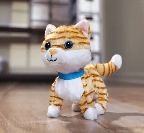 GATO MASCOTA JOLIER PET